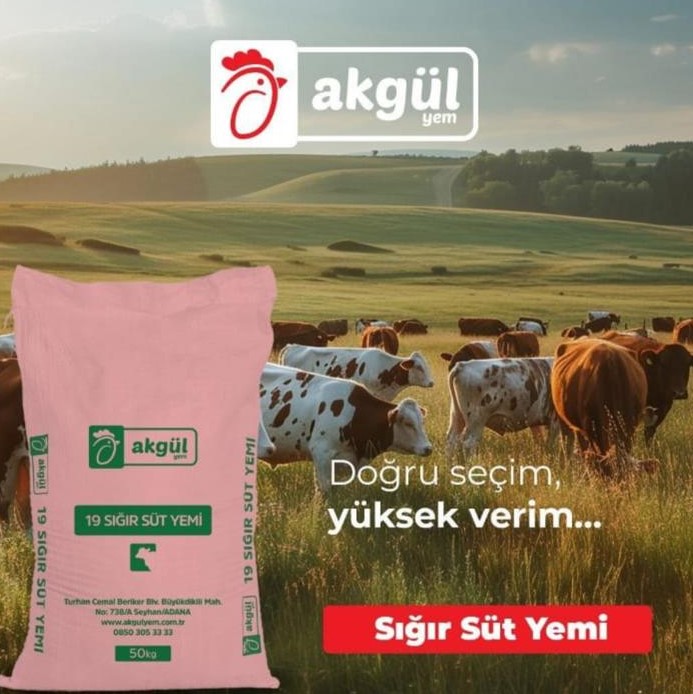 Süt Yemi